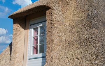 Wray thatch roof disadvantages