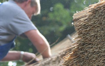 professional Wray thatchers