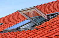 Wray roof window
